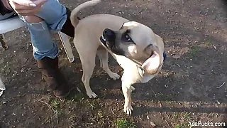 Next China Porn Videos 3